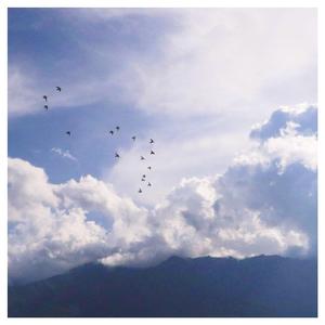 91av免费在线观看
