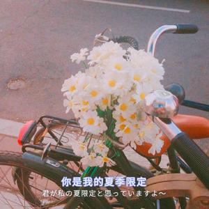 91av免费在线观看
