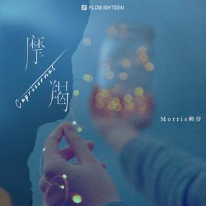 91av免费在线观看
