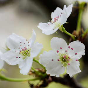 91av免费在线观看
