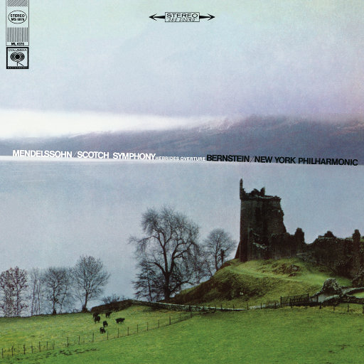 91av免费在线观看
